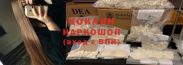 сатива Михайлов