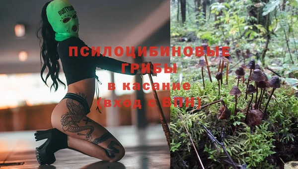прущие крисы Артём
