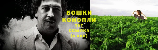 мдпв Михайловск