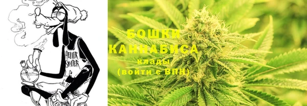 сатива Михайлов