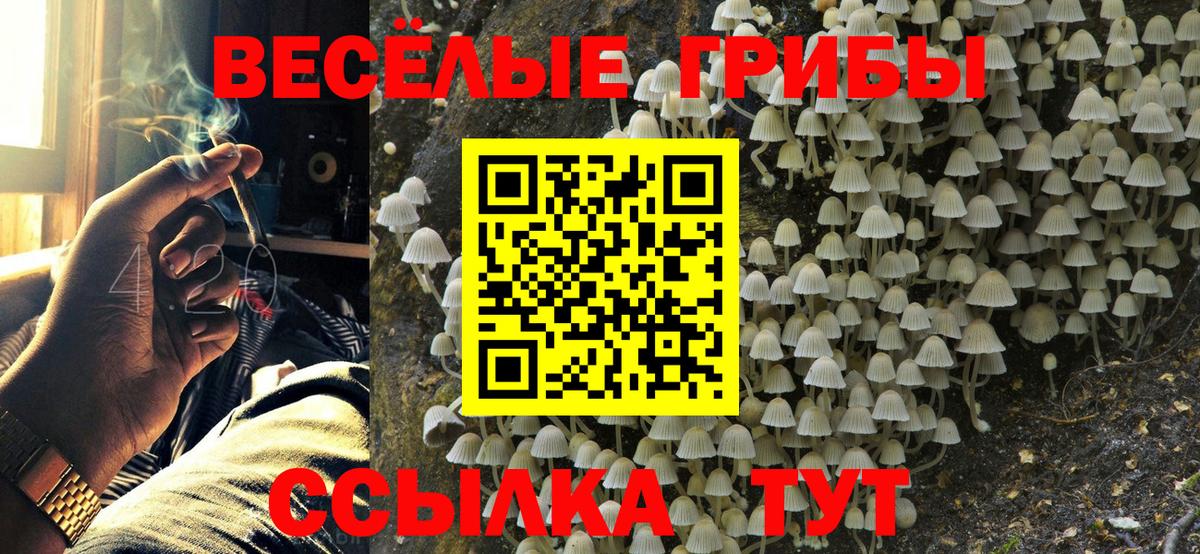 Магнитогорск  Псилоцибиновые грибы прущие грибы  Псилоцибиновые грибы Psilocybe  Вход с VPN 